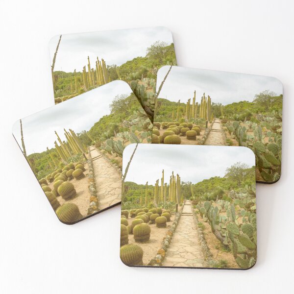 Item preview, Cacti Photography designed and sold by ciderdesign.