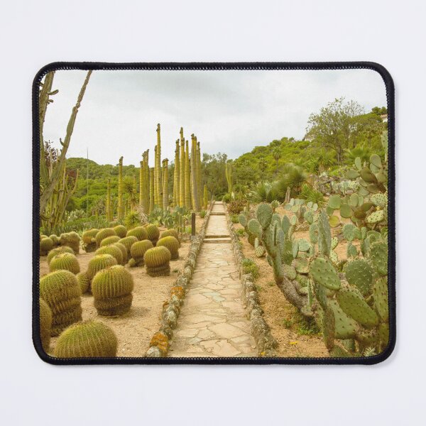 Item preview, Cacti Photography designed and sold by ciderdesign.