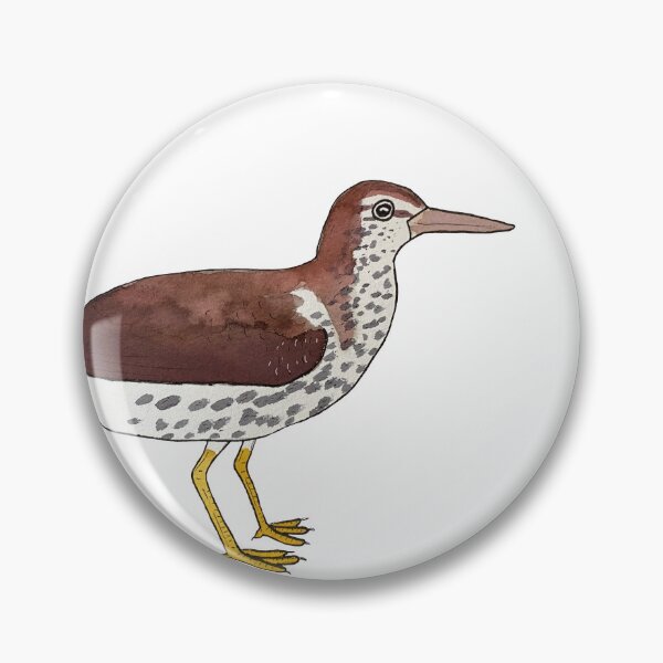 Item preview, Spotted Sandpiper watercolor bird art designed and sold by TheWaterBirds.