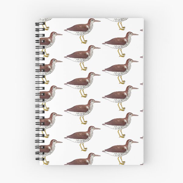 Item preview, Spotted Sandpiper watercolor bird art designed and sold by TheWaterBirds.