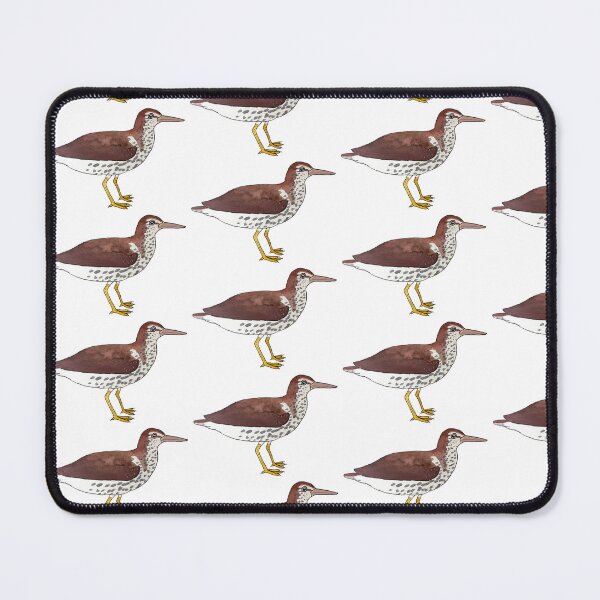 Item preview, Spotted Sandpiper watercolor bird art designed and sold by TheWaterBirds.