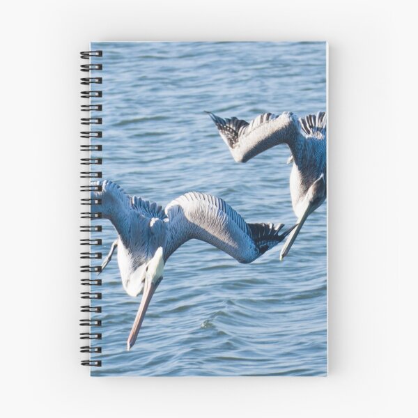Item preview, Double Pelican Dive designed and sold by Henry Plumley.