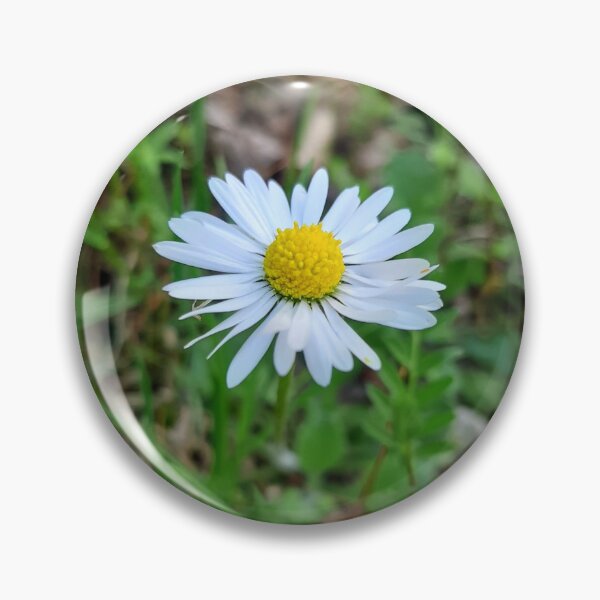 Item preview, marguerite daisy designed and sold by Asprilja.