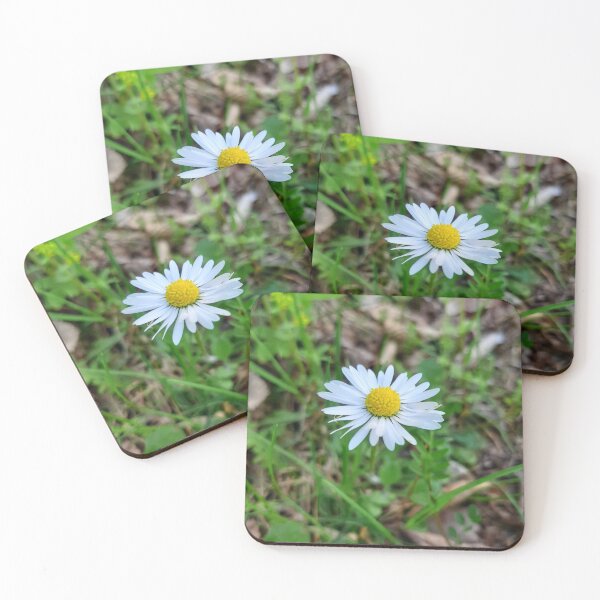 Item preview, marguerite daisy designed and sold by Asprilja.