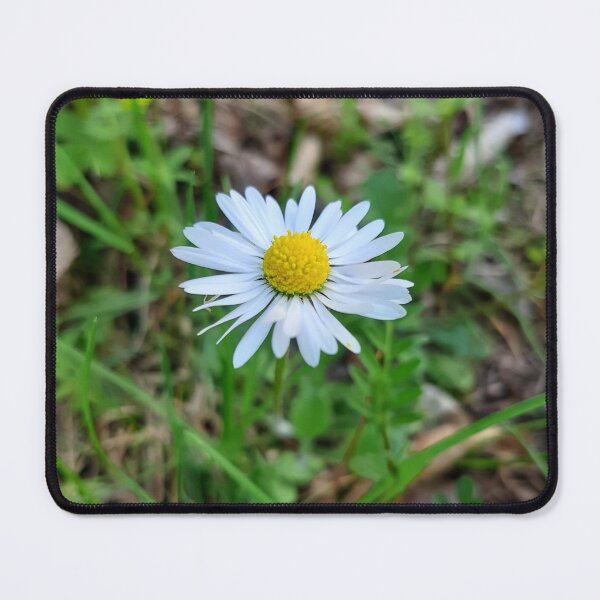 Item preview, marguerite daisy designed and sold by Asprilja.