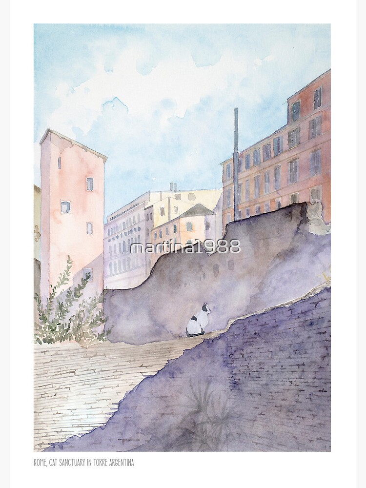 Cat Sanctuary in Torre Argentina