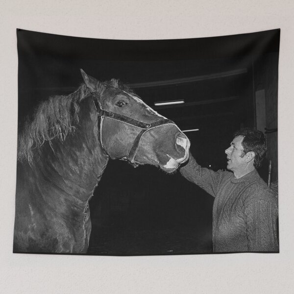 Item preview, r660/ silver time  " Open day at Haras de Saintes (17) France 1981 - Journée porte Ouverte au Haras de Saintes  " Okaio Créations Olavia-Olao designed and sold by o.okaïo.