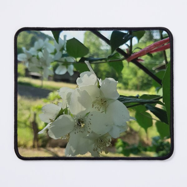Item preview, white lilac designed and sold by Asprilja.