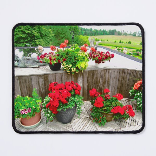 Item preview, Rooftop Garden designed and sold by Shulie1.