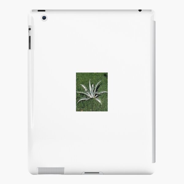 Green Nature  iPad Snap Case