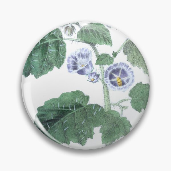 Item preview, Vintage Solanum campanulatum Print from The floral cabinet and magazine of exotic botany (1837) designed and sold by Douglas E. Welch Design and Photography.