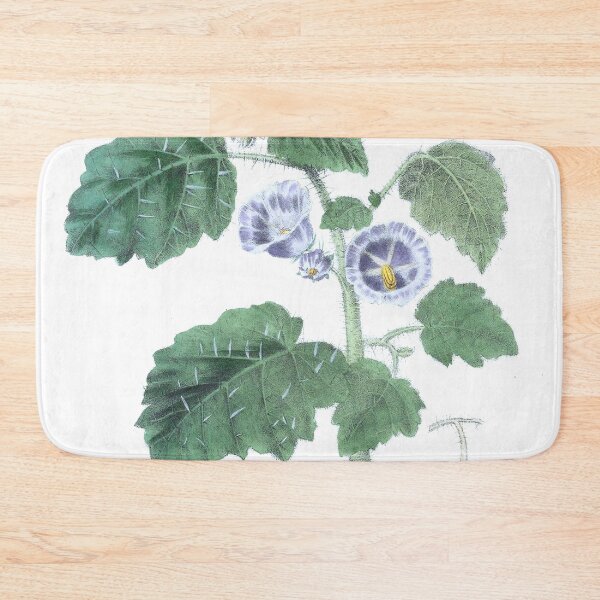 Item preview, Vintage Solanum campanulatum Print from The floral cabinet and magazine of exotic botany (1837) designed and sold by Douglas E. Welch Design and Photography.