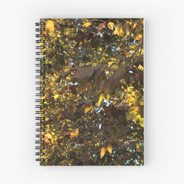 Item preview, Sunny Day Fall Leaves  designed and sold by AshTreeCrtvCo.