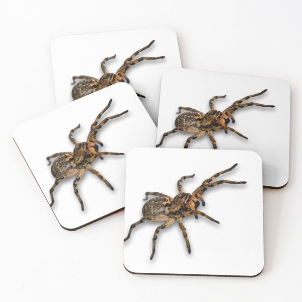 Item preview, Big Spider designed and sold by Metaverse8.