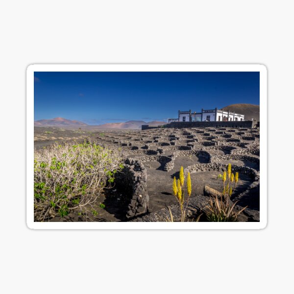 Item preview, Bodega in the La Geria region of Lanzarote designed and sold by MichaelBShannon.