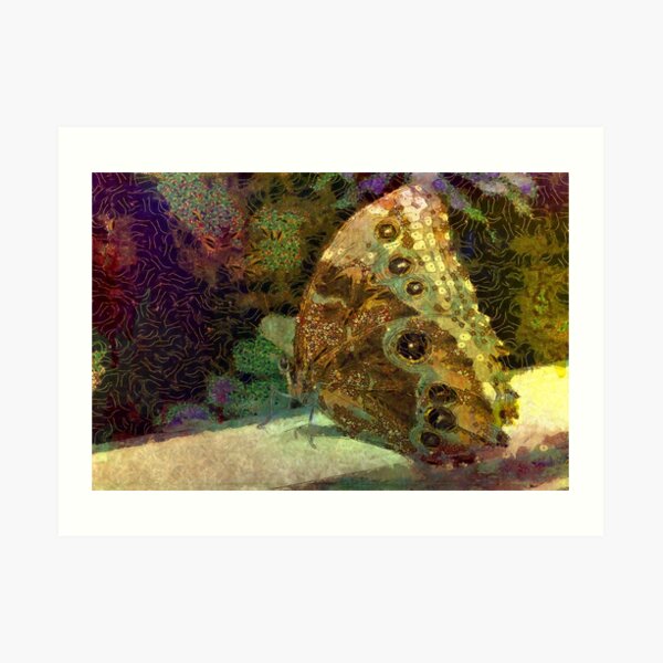 Golden Butterfly Art Print