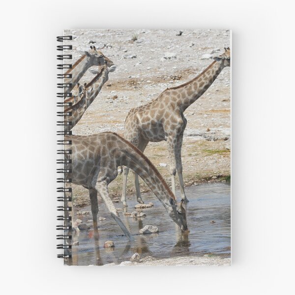 Item preview, Thirsty Giraffes - Namebia designed and sold by Gilberte.