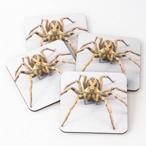 Item preview, Big hairy spider designed and sold by Metaverse8.