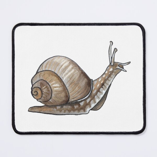 Item preview, Snail designed and sold by Allison Campbell.