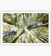 Forest Sticker