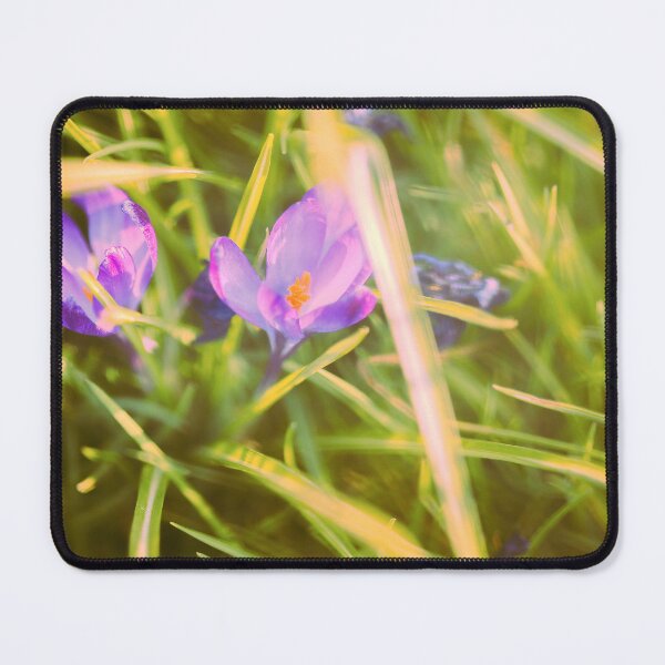 Item preview, Looking - A View - F2.8 - Broken Glass designed and sold by Carl Gaynor.