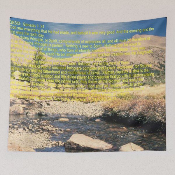 Item preview, Genesis 1: 31; Genesis 2: 1 MBE Art designed and sold by Alicefish.