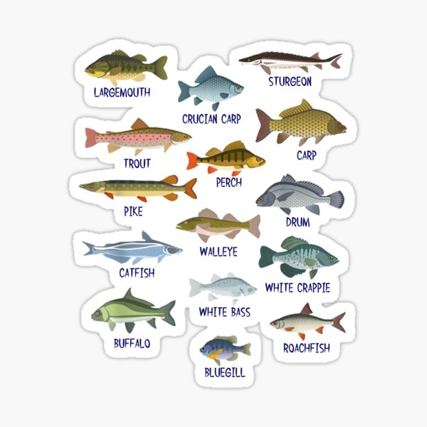 Types Of Fish Stickers for Sale