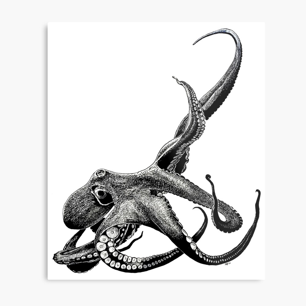 OCTOPUS SINGLE HOOK WALL ART - Originals