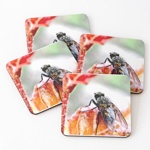 Item preview, The Fly back. designed and sold by elGatCendrer.
