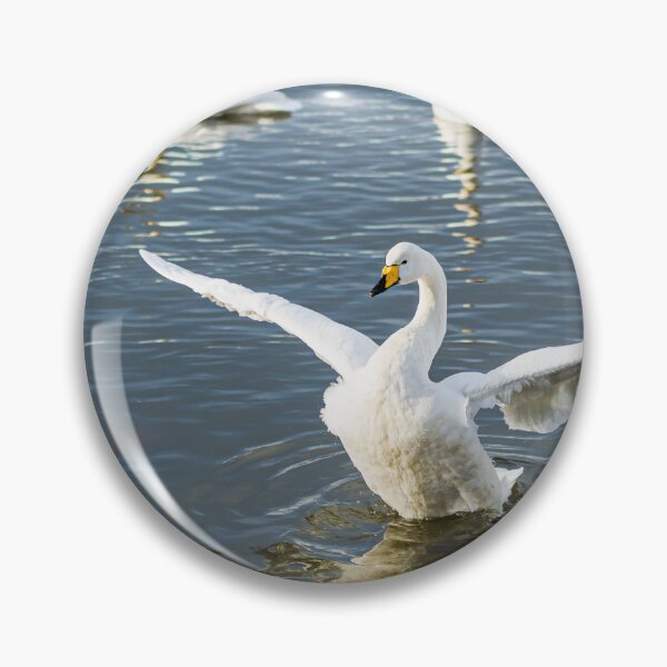 Artikelvorschau, Swan hat eine Dehnung entworfen und verkauft von Eyecbeauty.
