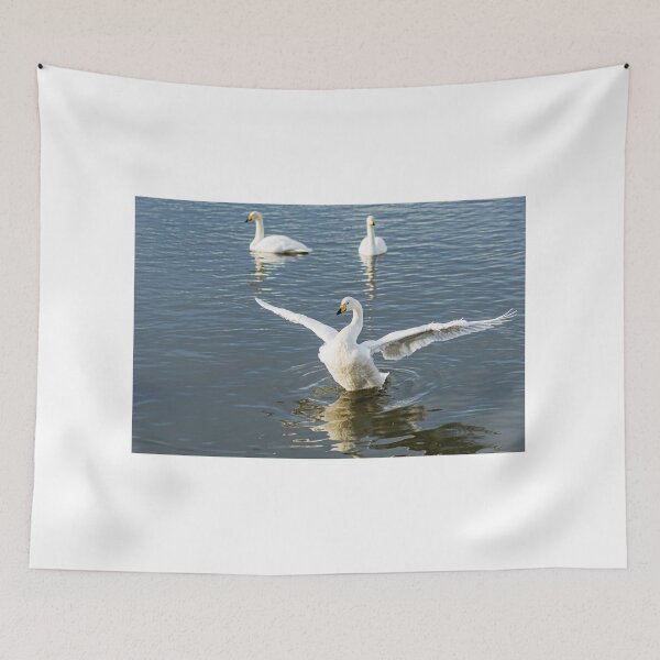 Item preview, Swan having a stretch designed and sold by Eyecbeauty.