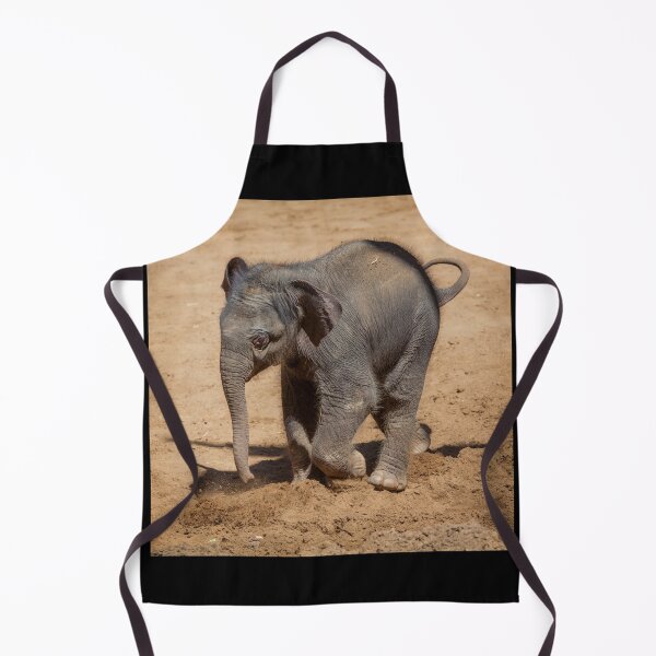Item preview, Baby Elephant Play designed and sold by TVD-Photography.