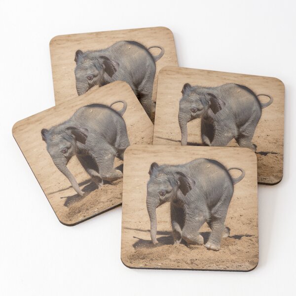 Item preview, Baby Elephant Play designed and sold by TVD-Photography.