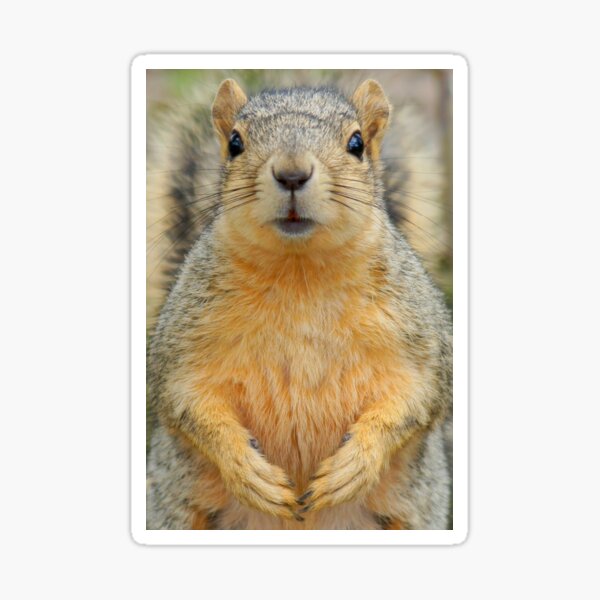 You Talking To Me? Sticker
