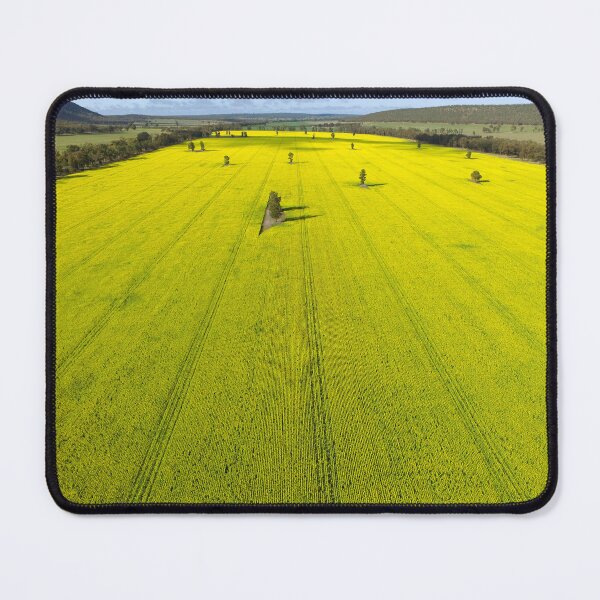Item preview, Fields of Yellow Canola Flowers designed and sold by Susan Segal.