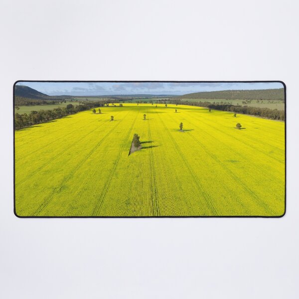 Item preview, Fields of Yellow Canola Flowers designed and sold by Susan Segal.