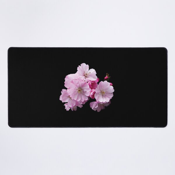 Item preview, Closeup of Cherry Blossoms designed and sold by HamatraSikaru.