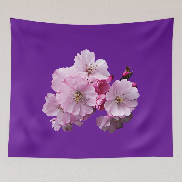 Item preview, Closeup of Cherry Blossoms designed and sold by HamatraSikaru.