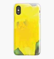 Daffodils iPhone Case/Skin