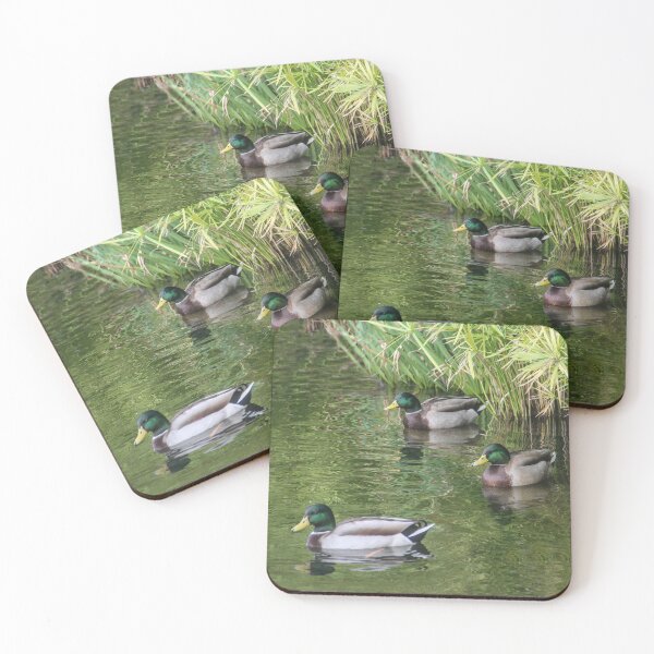 Item preview, ¡Corre hacia la orilla! designed and sold by heatherfriedman.