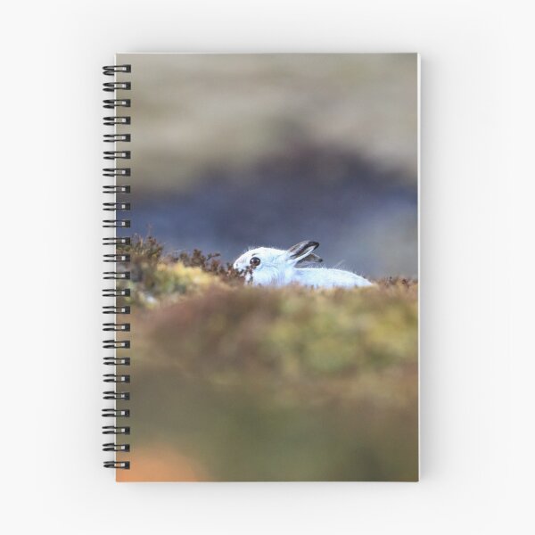 Item preview, Mountain hare designed and sold by chanonry.