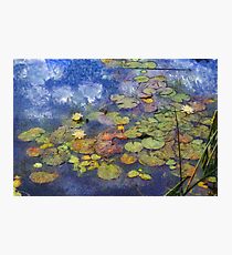Arboretum Photographic Print