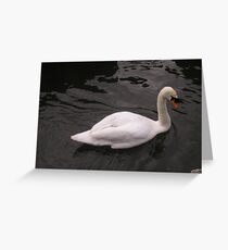 Swan Greeting Card