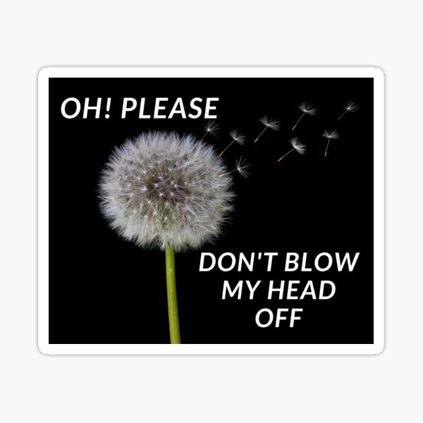 oh-please-don-t-blow-my-head-off-sticker-by-robbiesmusic-redbubble