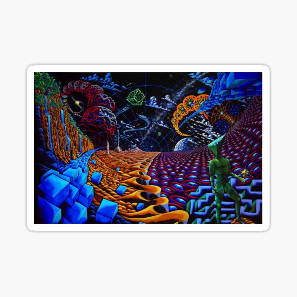 DMT TRIP Sticker