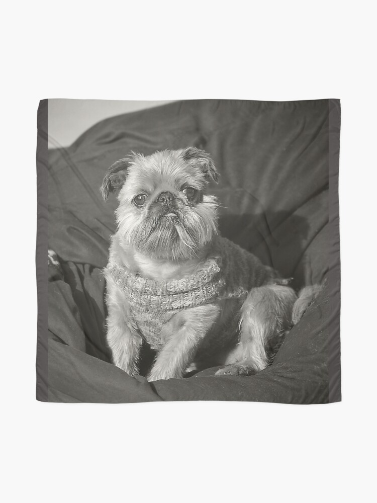 Express Shipping Pet Animal Designs Brussels Griffon Pattern Print Sneakers for Women