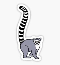 Lemur Catta - Ring Tailed Lemur Sticker