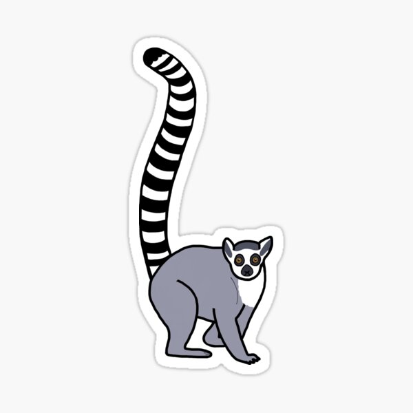 Stickers, Labels & Tags Vintage Graphic Lemur Ring-tailed Lemur Gift 