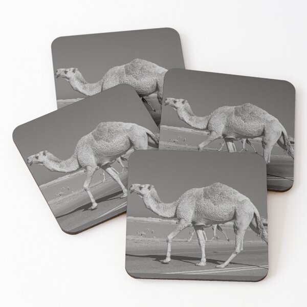 Item preview, Black and white photo of camel in Saudi Arabia  designed and sold by Alshoalla.