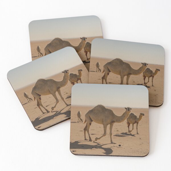 Item preview, Copy of Black and white photo of camel in Saudi Arabia  designed and sold by Alshoalla.